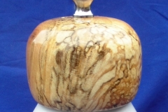 17b Maple-spalted